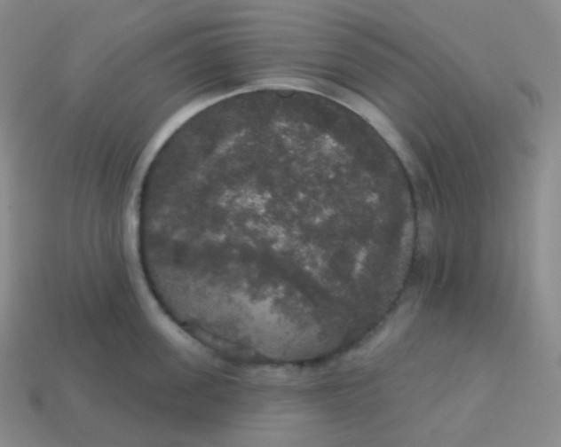 X0000113550955200910091301