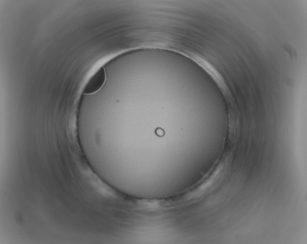 X0000113550956200910091301