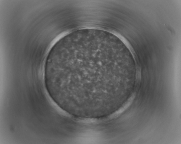 X0000113550957200910091301