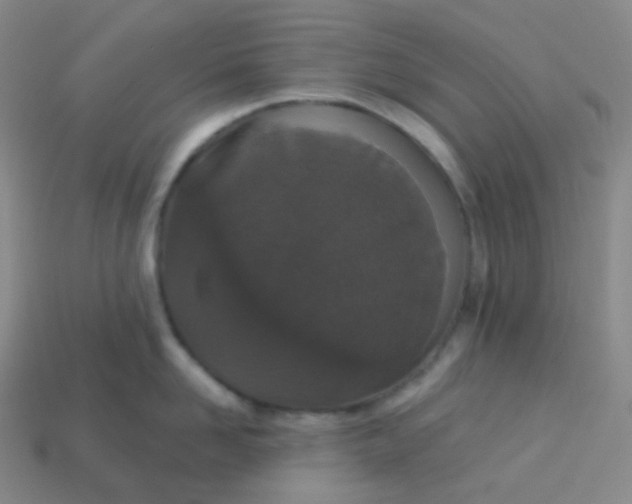 X0000113550958200910091301