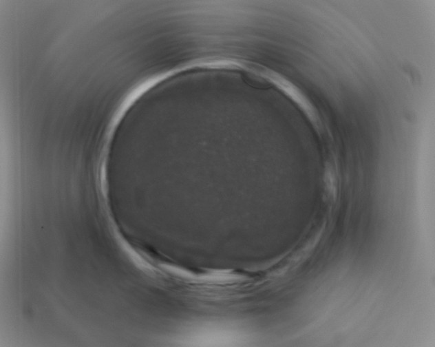 X0000113550959200910091301