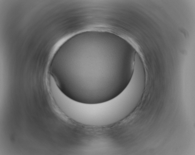 X0000113550960200910091301