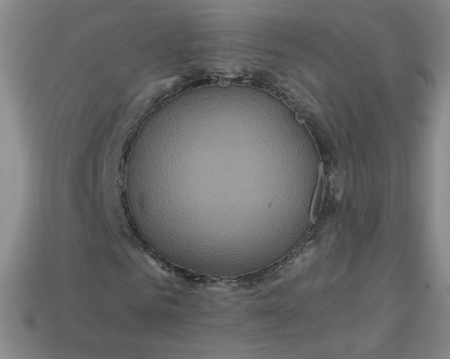 X0000113550961200910091301