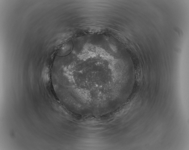 X0000113550962200910091301