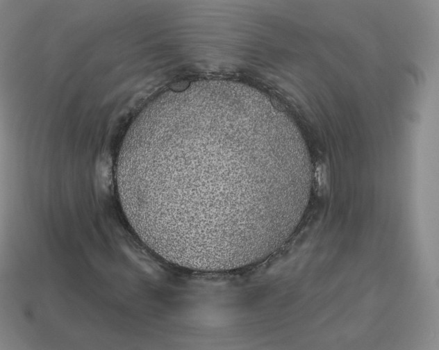 X0000113550963200910091301