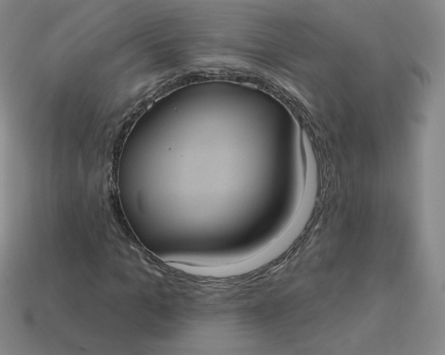 X0000113550965200910091300