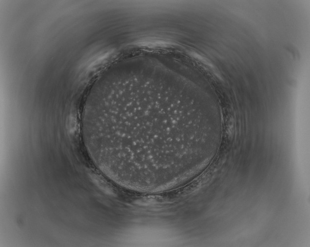 X0000113550966200910091300