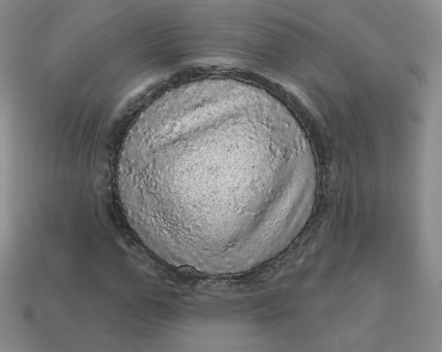 X0000113550967200910091300