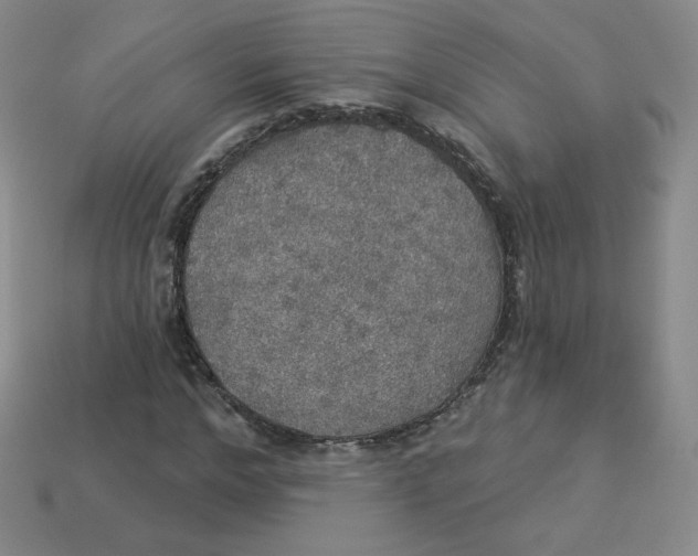 X0000113550968200910091300