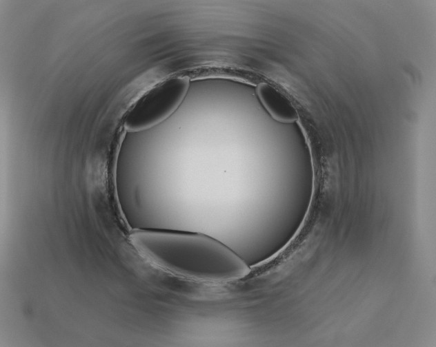 X0000113550969200910091300