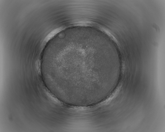 X0000113550970200910091300