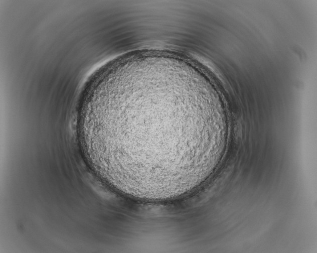 X0000113550971200910091300