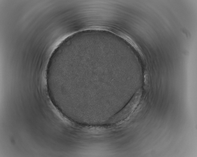 X0000113550972200910091300