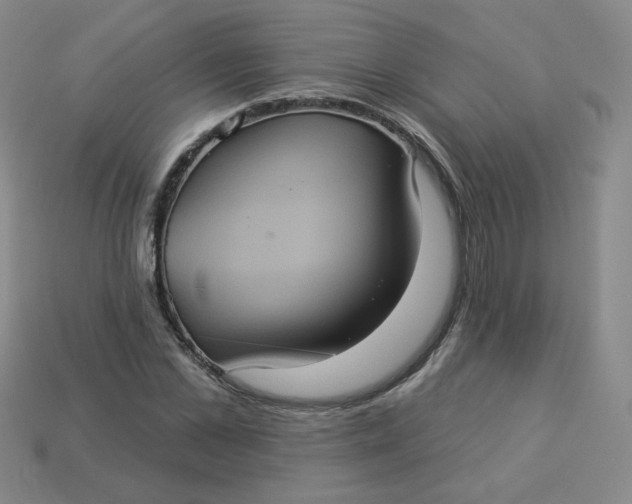 X0000113550973200910091300