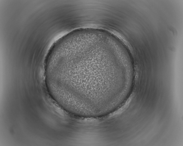 X0000113550974200910091300