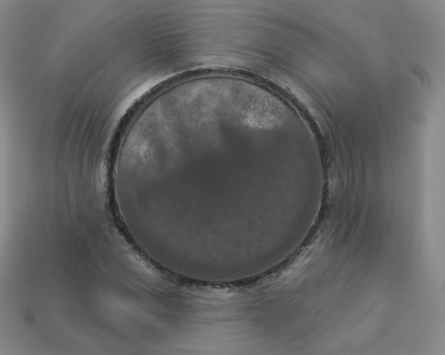 X0000113550975200910091300