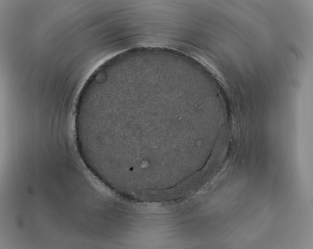 X0000113550976200910091300