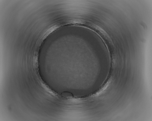 X0000113550977200910091300