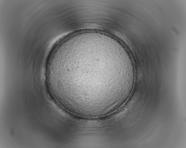 X0000113550979200910091300