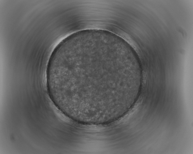 X0000113550980200910091300