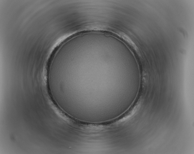 X0000113550981200910091300