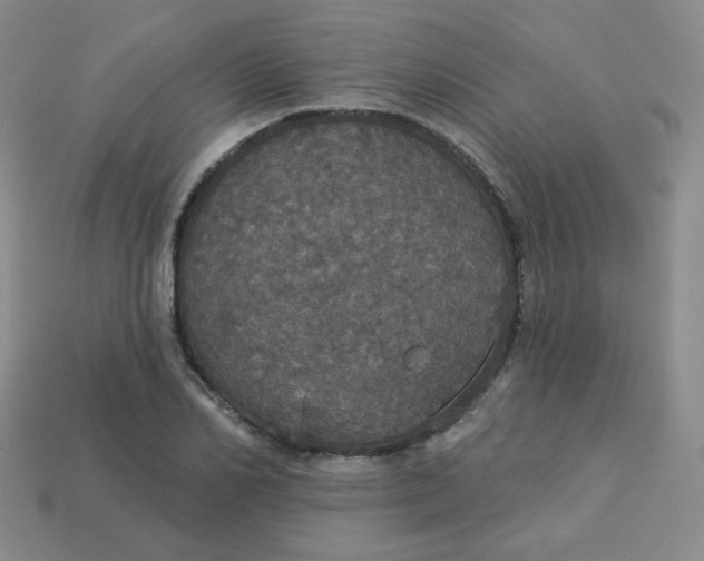 X0000113550982200910091300