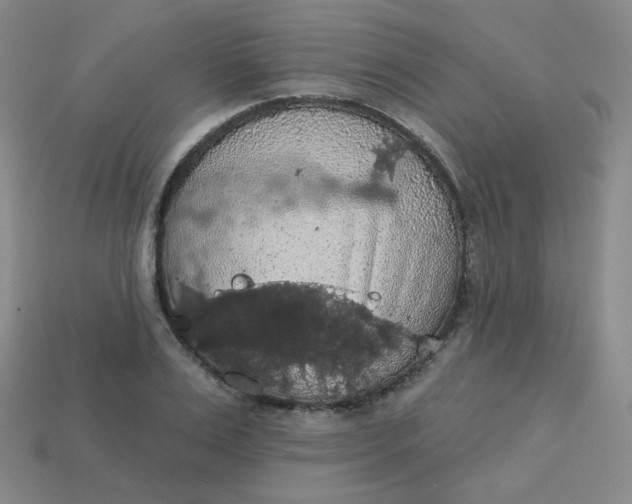 X0000113550983200910091300