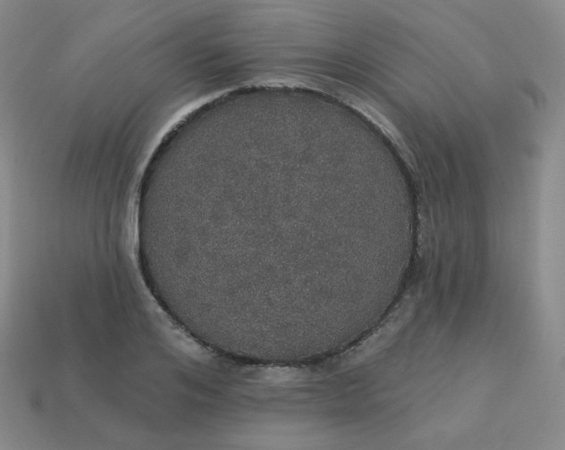 X0000113550984200910091300