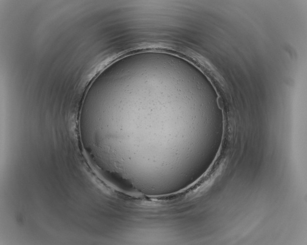 X0000113550985200910091300