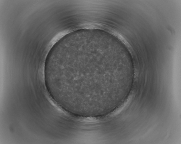 X0000113550986200910091300