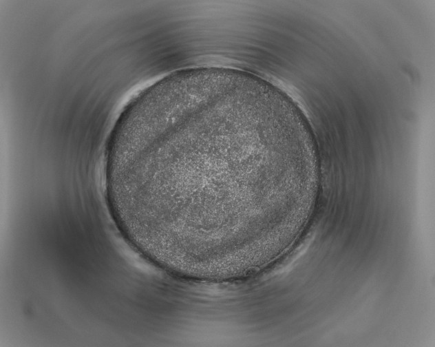 X0000113550987200910091300