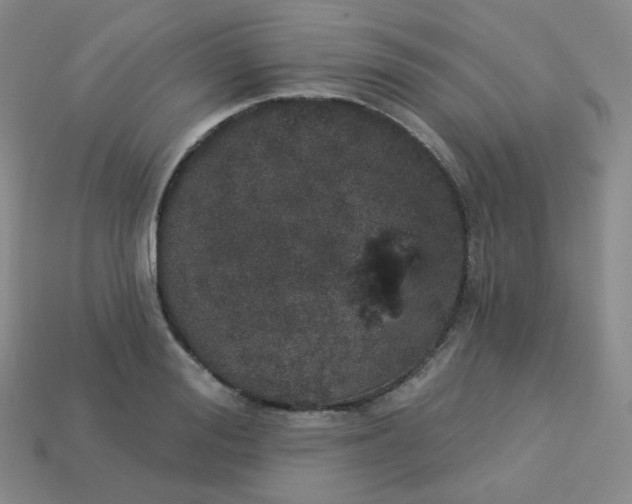 X0000113550988200910091300