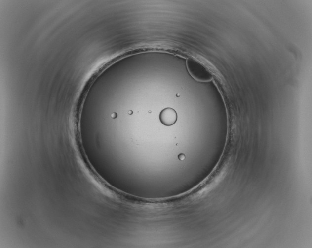 X0000113550989200910091300