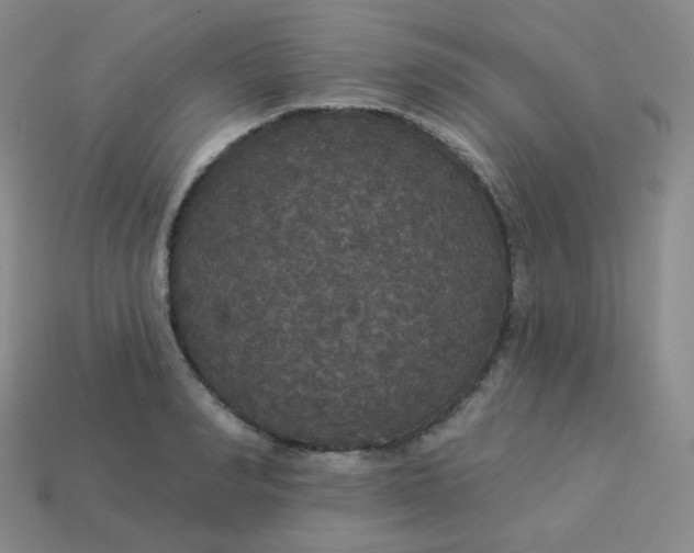 X0000113550990200910091300