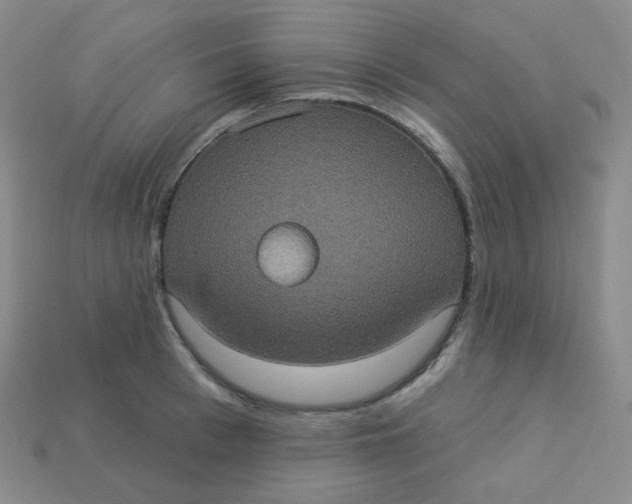 X0000113550993200910091300