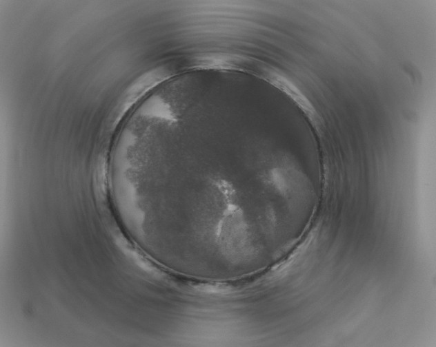 X0000113550994200910091300