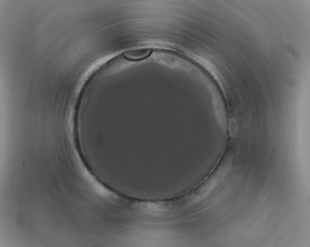 X0000113550995200910091300