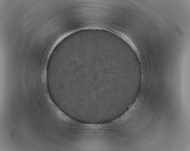 X0000113550996200910091300