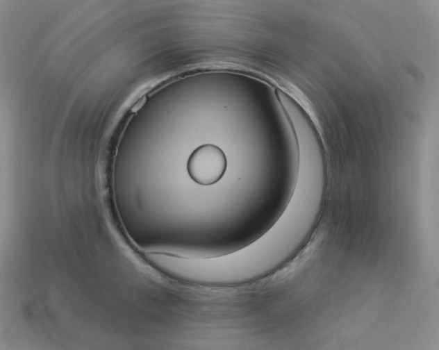 X0000113550997200910091300