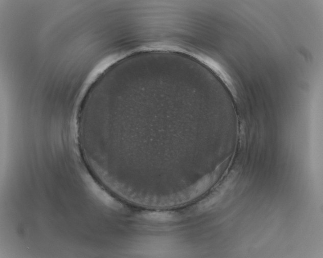 X0000113550998200910091300