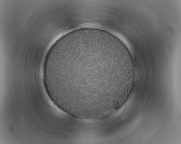 X0000113550999200910091300