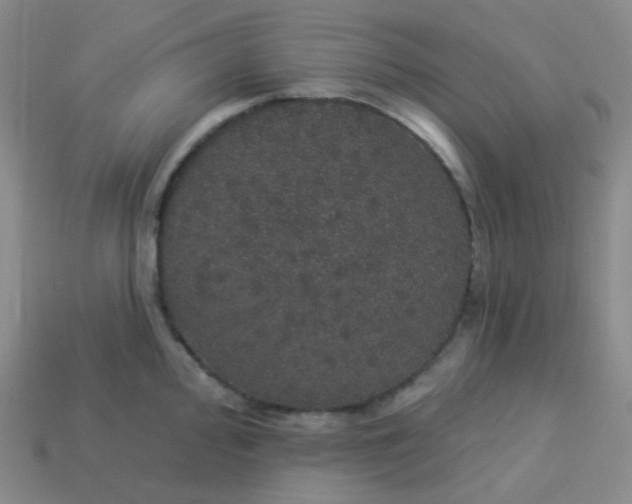 X0000113551000200910091300