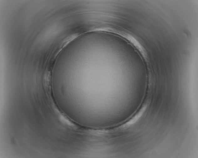 X0000113551001200910091300