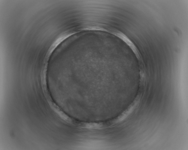 X0000113551002200910091300