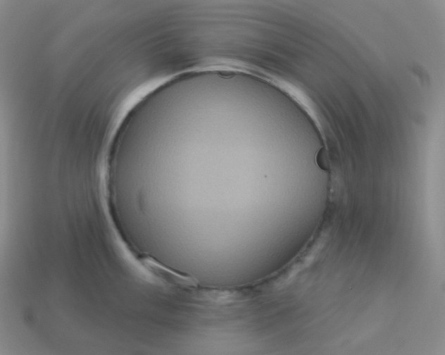 X0000113551003200910091300