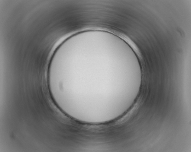 X0000113551004200910091300