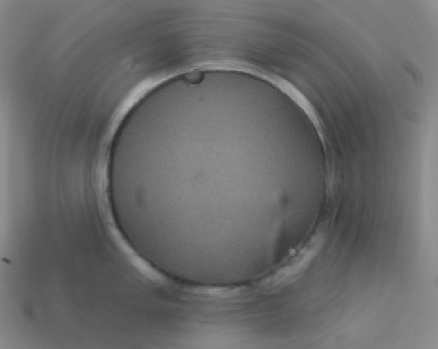 X0000113551005200910091300