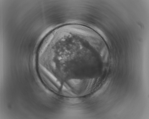 X0000113551007200910091300