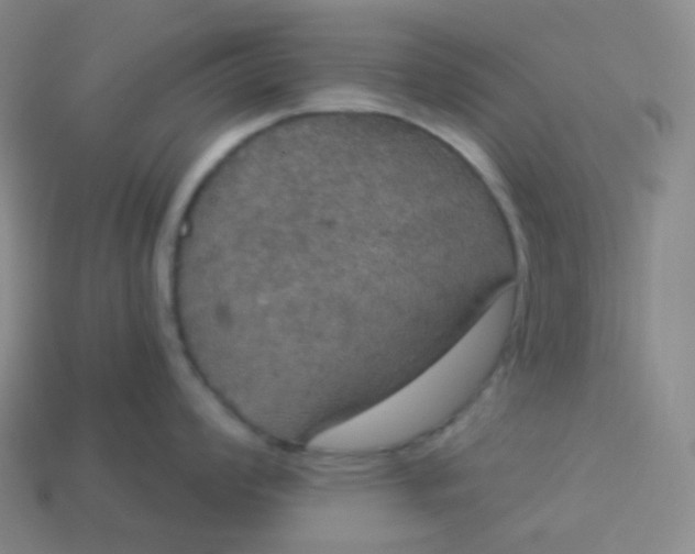 X0000113551008200910091300