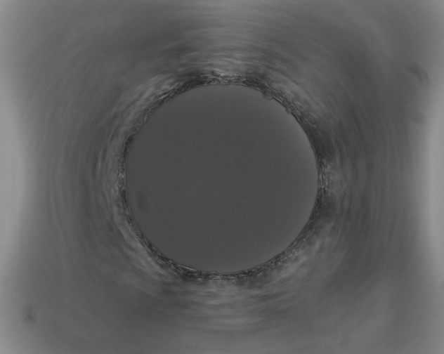 X0000113551009200910091259